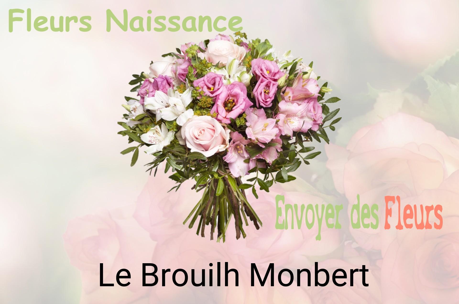 Bouquet de fleurs de naissance livré à Le Brouilh-Monbert